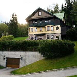 Vila Anicka